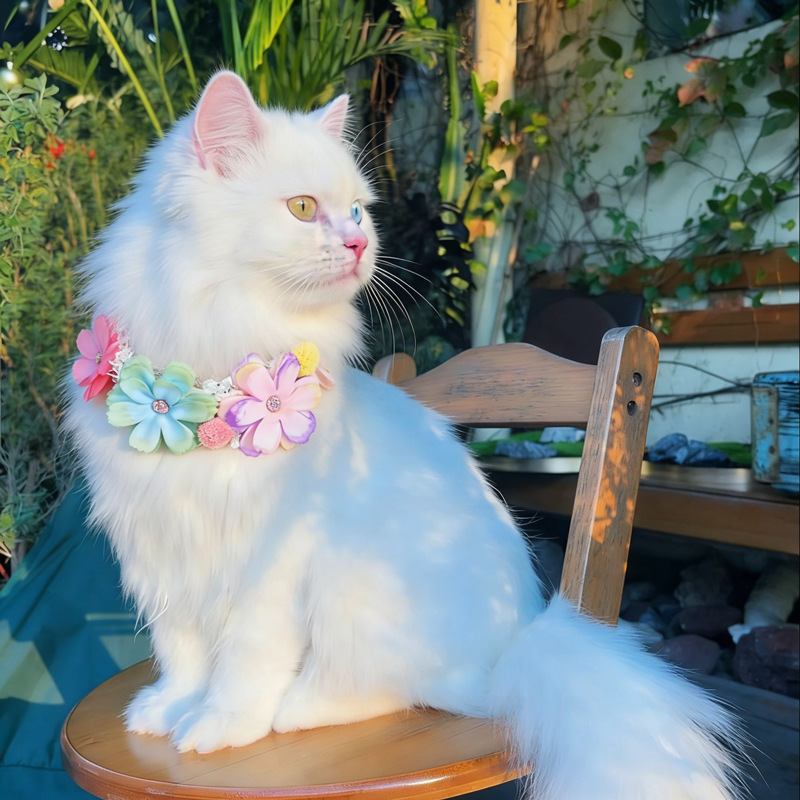 Photography Basic - ゴージャスなカラフルな花のペットの首輪猫ネックレス調節可能な猫よだれかけ甘い猫/犬の首輪ペットアクセサリー写真撮影小道具