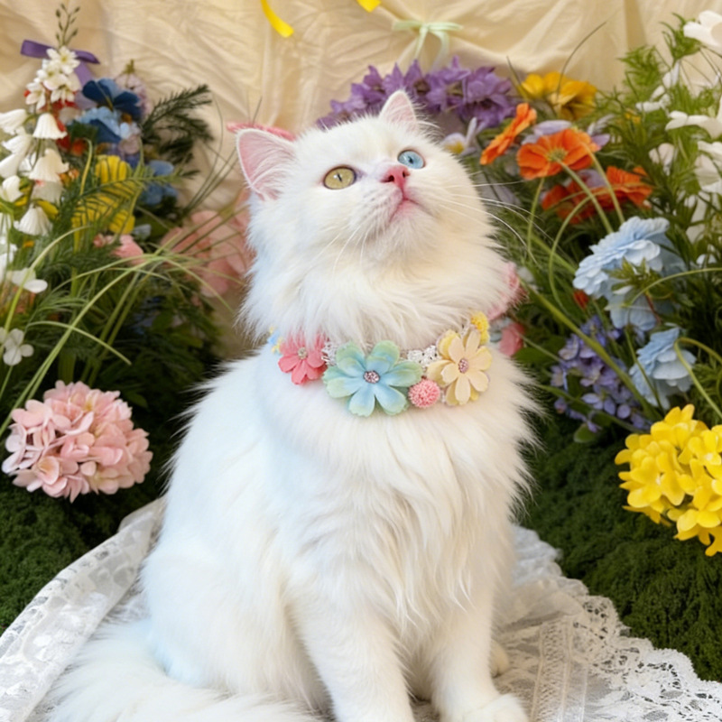 ゴージャスなカラフルな花のペットの首輪猫ネックレス調節可能な - Photography Basic のレビューと価格