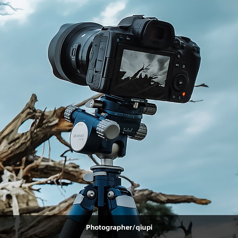 BENRO GD36PT アルミニウム製3ウェイギアードボー - Photography Landscape のレビューと価格